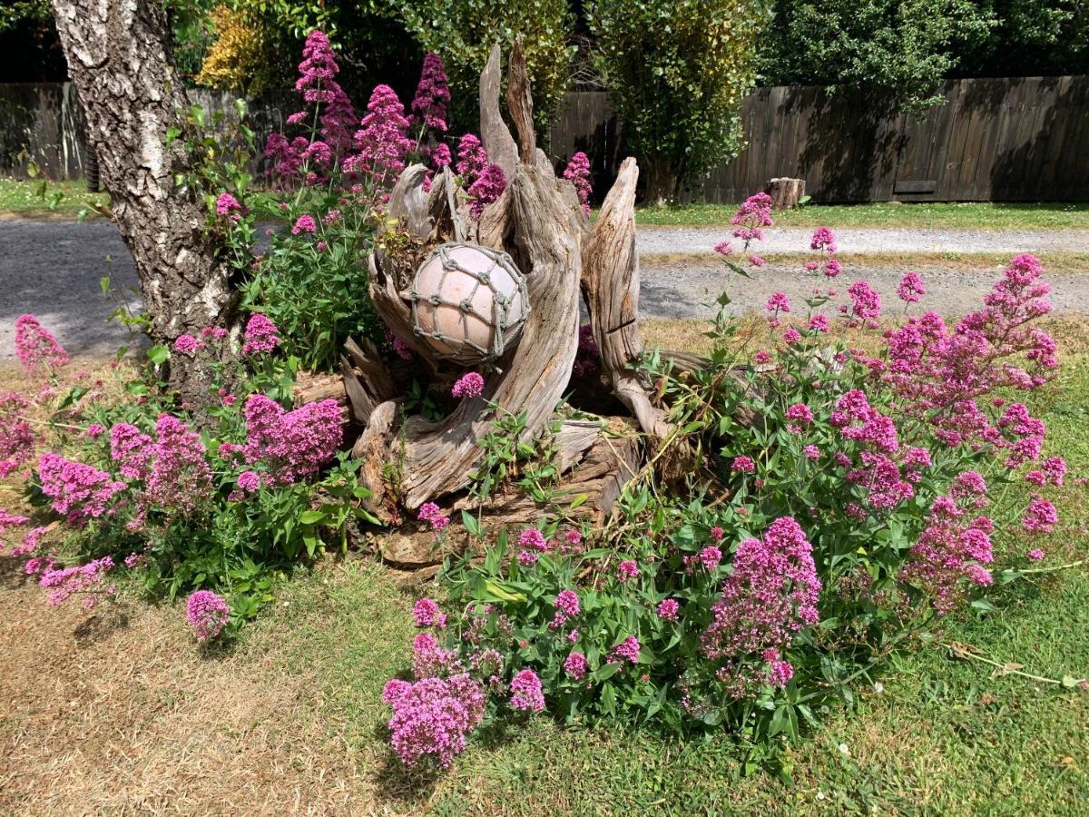 Strahan Backpackers Dış mekan fotoğraf